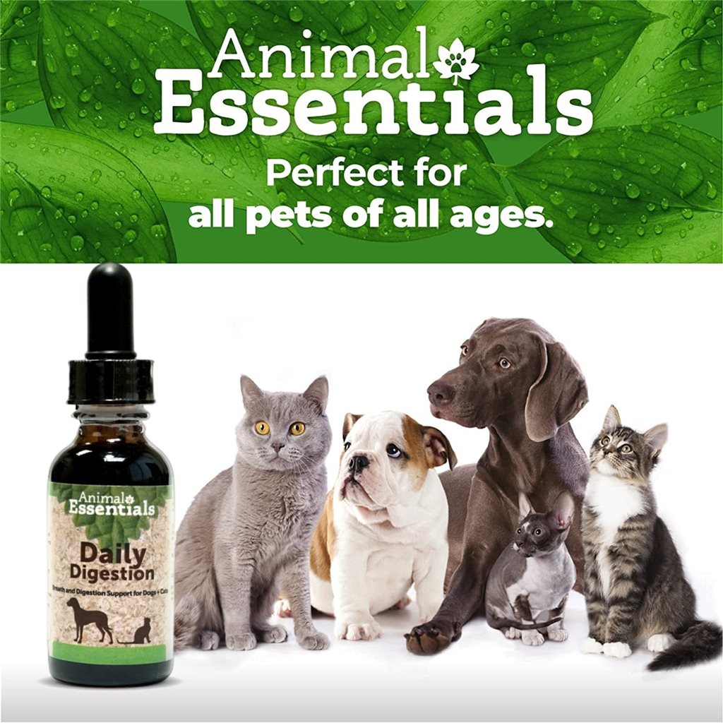 Animal Essentials - Daily Digestion (Ginger Mint)  治療養生草本系列 - 舒緩胃部配方 2oz 