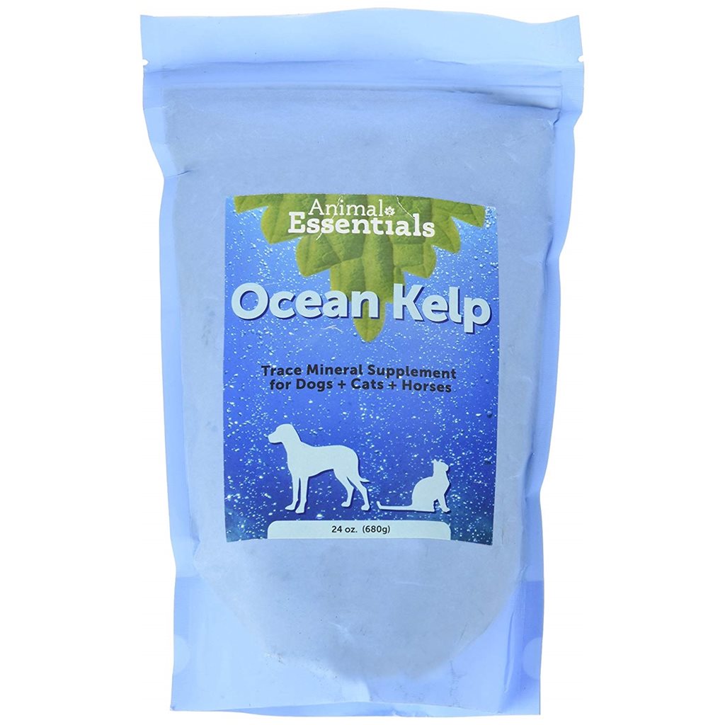 Animal Essentials - Organic Ocean Kelp 有機冰島海藻粉 24oz