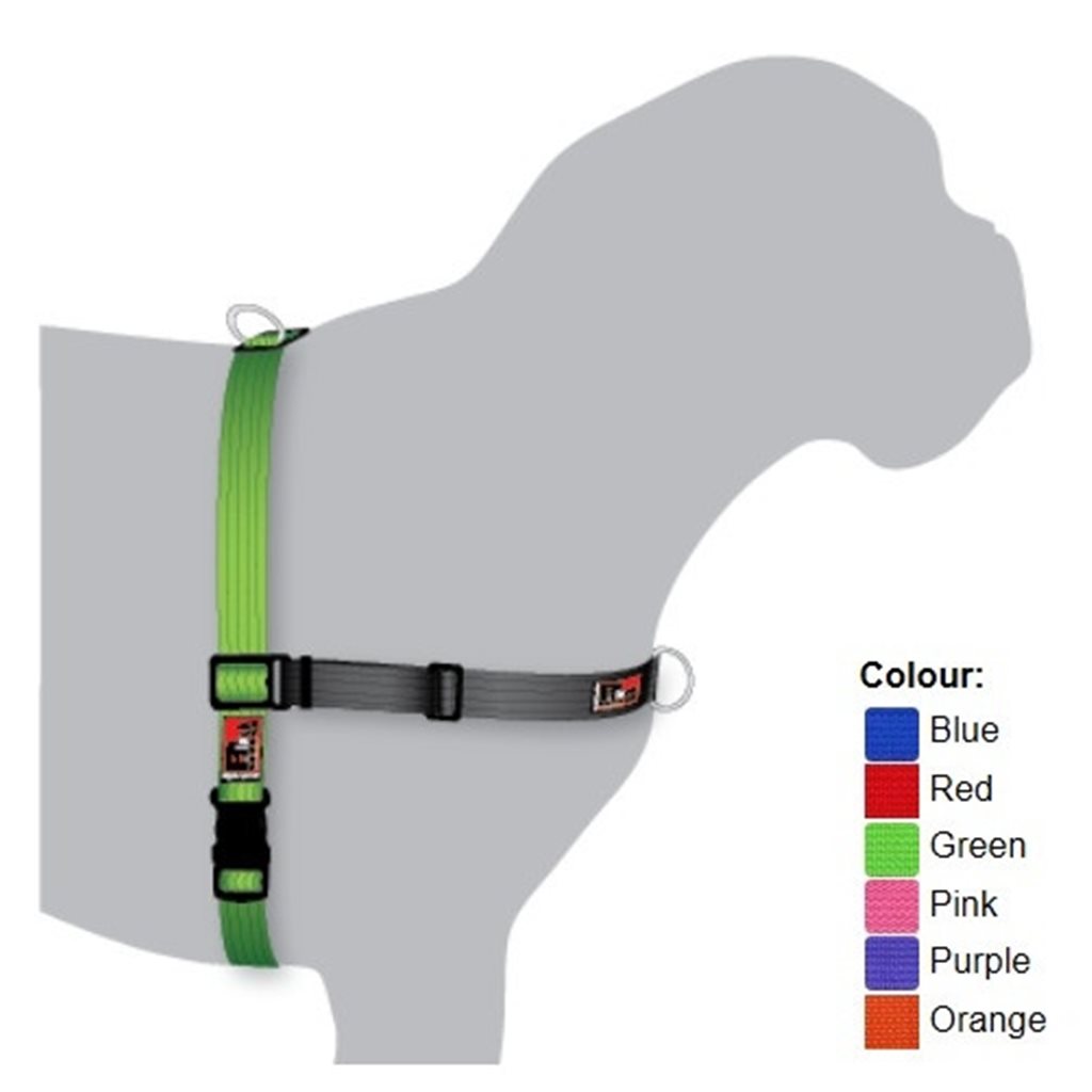 Black Dog Balance Harness 防衝胸帶 - 紅 (XL)