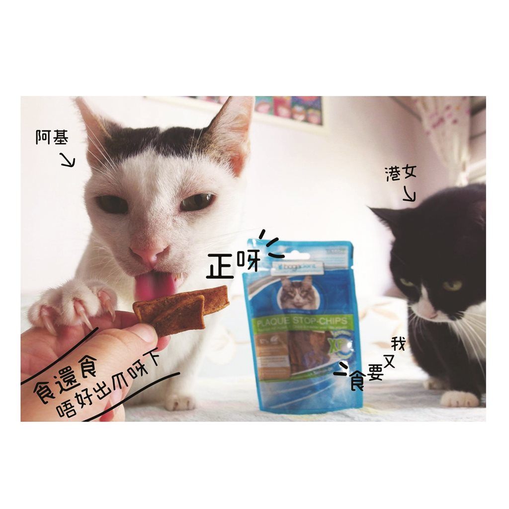 bogadent® Dental Enzyme Chips Cat (Fish) 天然酵素防牙石小食 (魚) 50g (貓用)